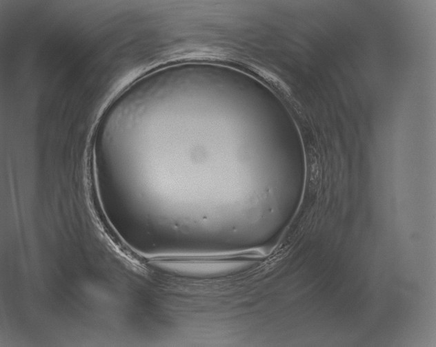 X0000051251375200507011641