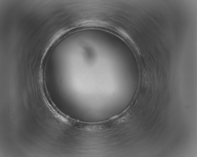 X0000051251376200507011641