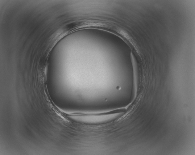 X0000051251377200507011641