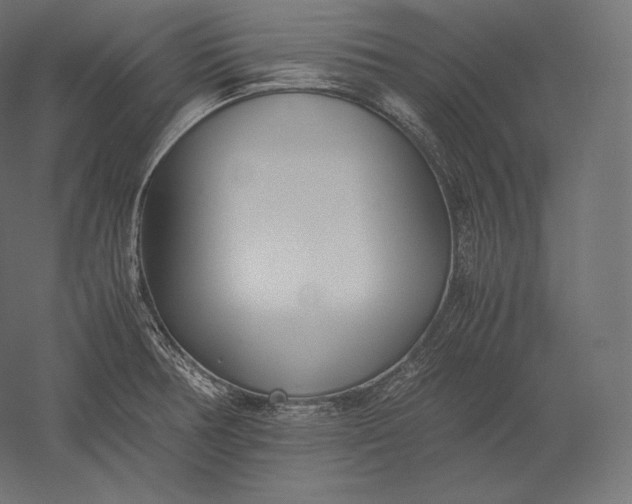 X0000051251378200507011641