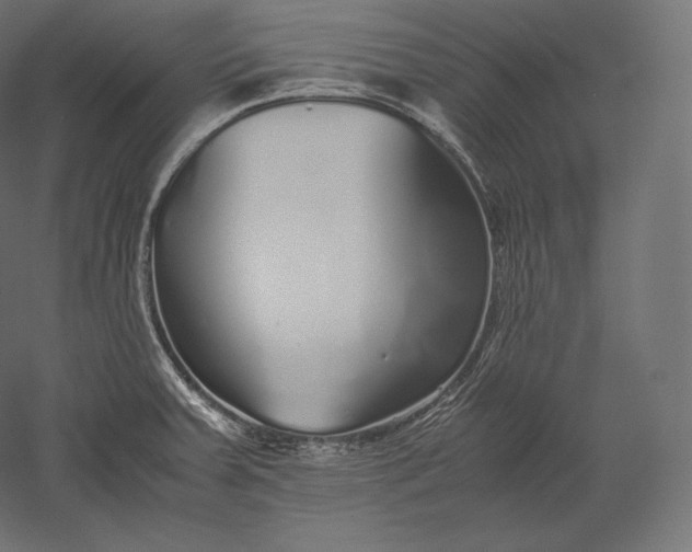 X0000051251379200507011641