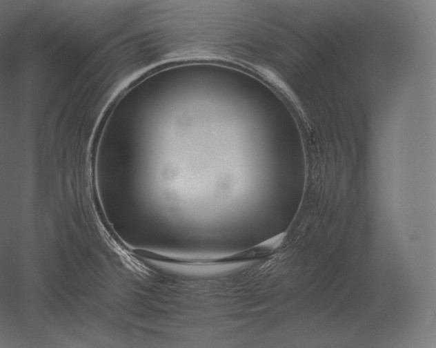 X0000051251380200507011641