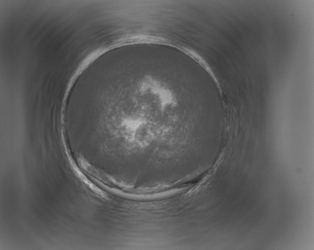 X0000051251381200507011641