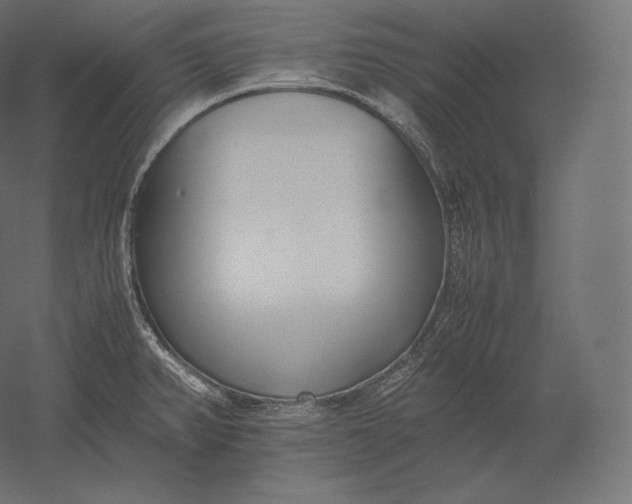 X0000051251382200507011641