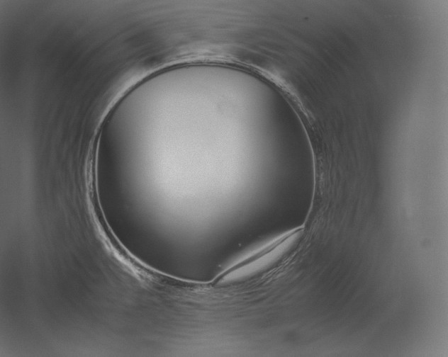 X0000051251383200507011641