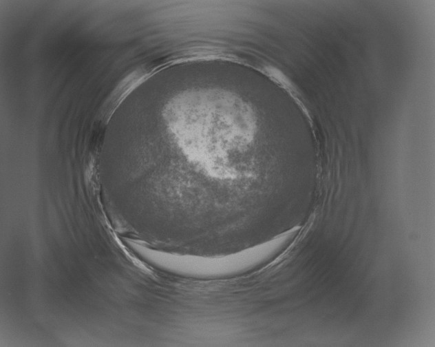 X0000051251385200507011641