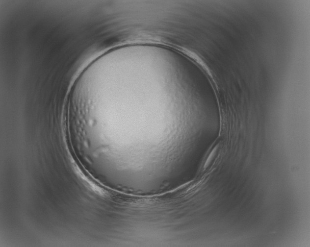 X0000051251387200507011641