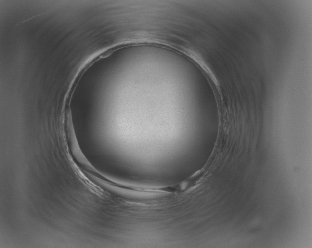 X0000051251388200507011641