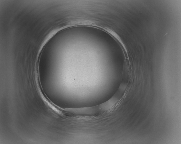 X0000051251389200507011641