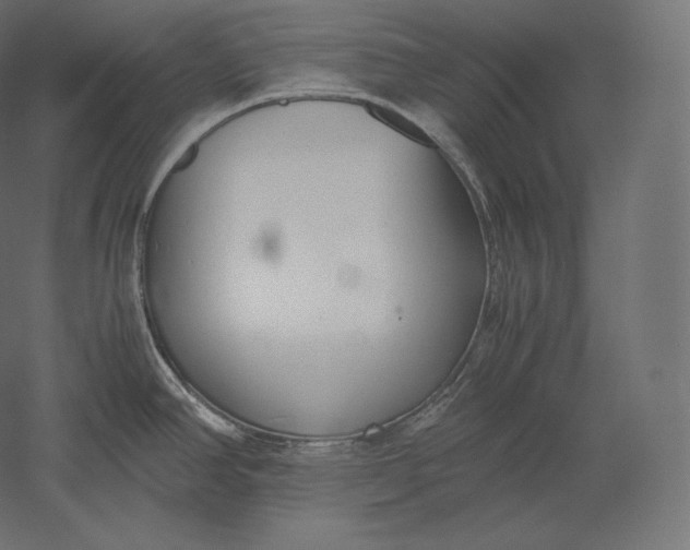 X0000051251390200507011641