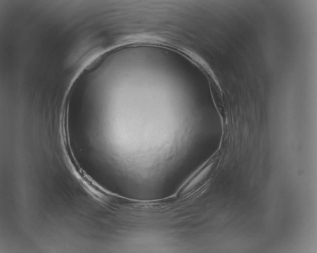 X0000051251391200507011641