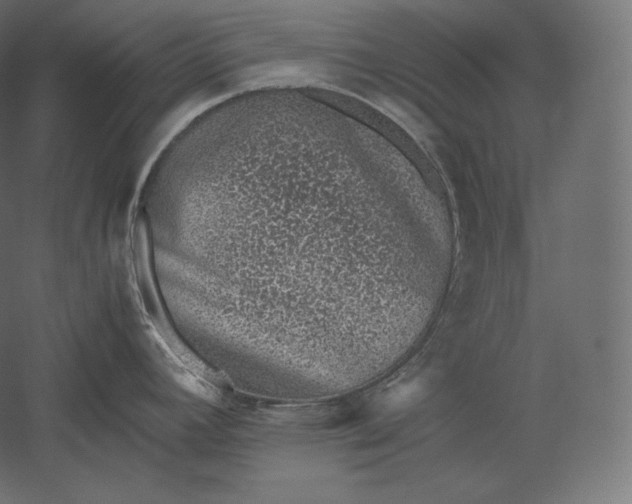 X0000051251392200507011641