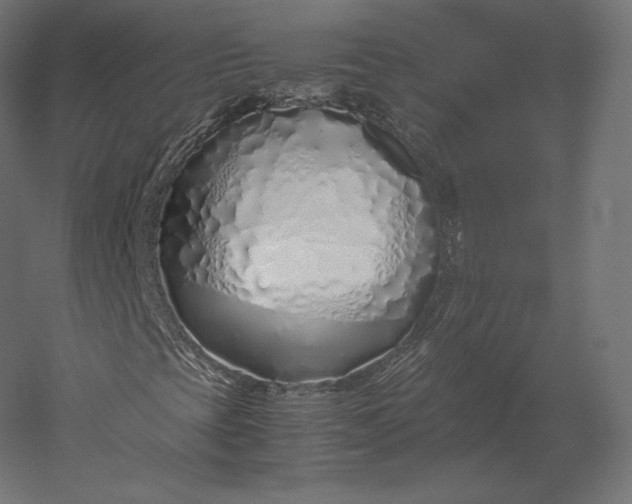 X0000051251393200507011640