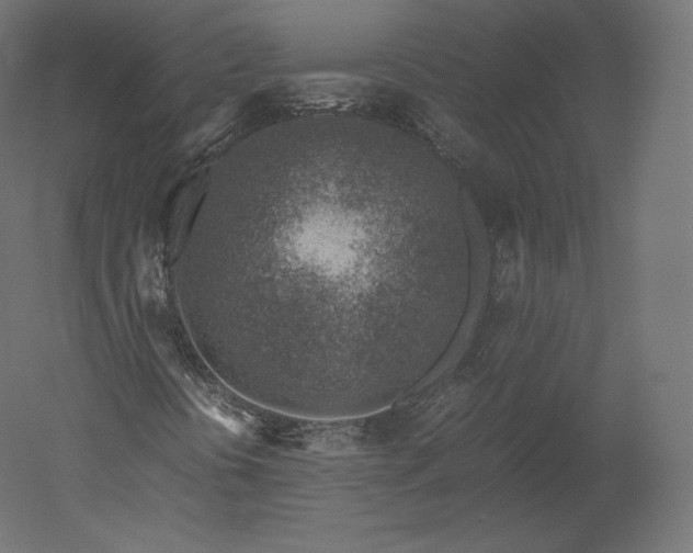 X0000051251394200507011640