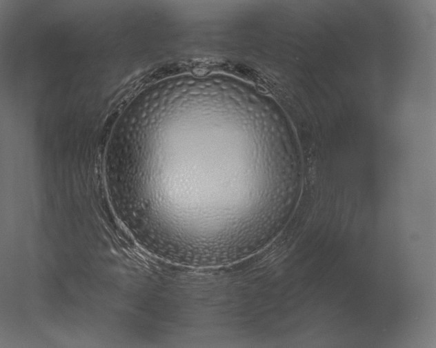 X0000051251397200507011640