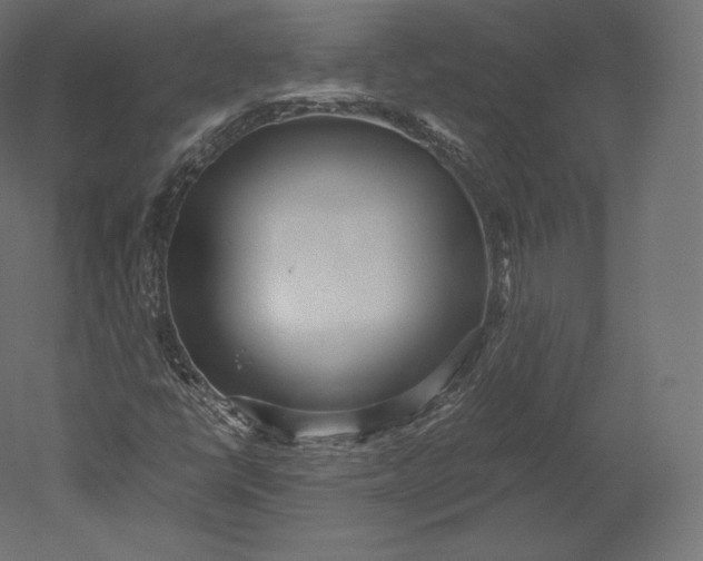 X0000051251398200507011640