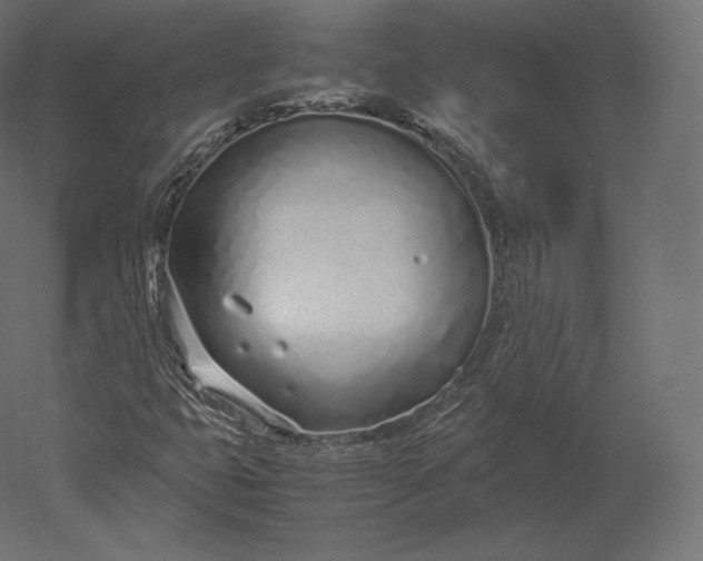 X0000051251399200507011640