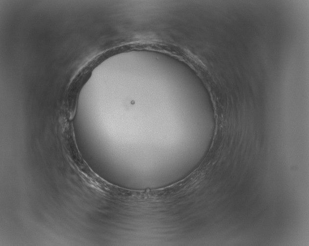 X0000051251400200507011640