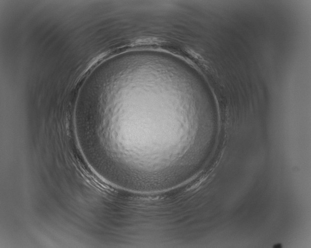 X0000051251401200507011640