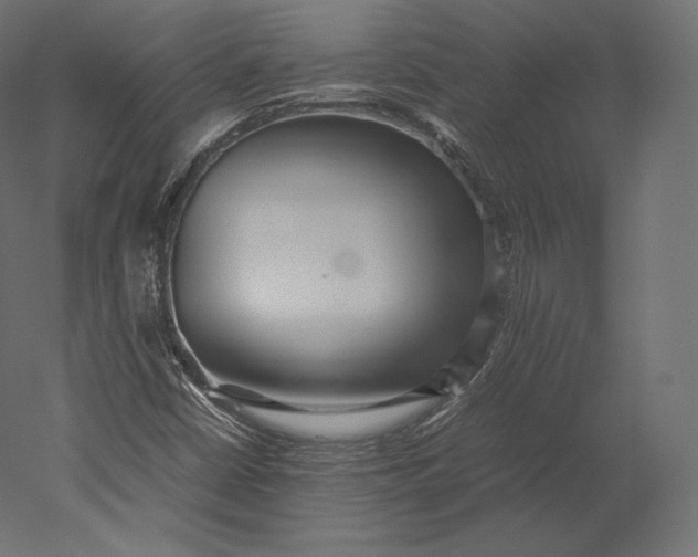 X0000051251402200507011640