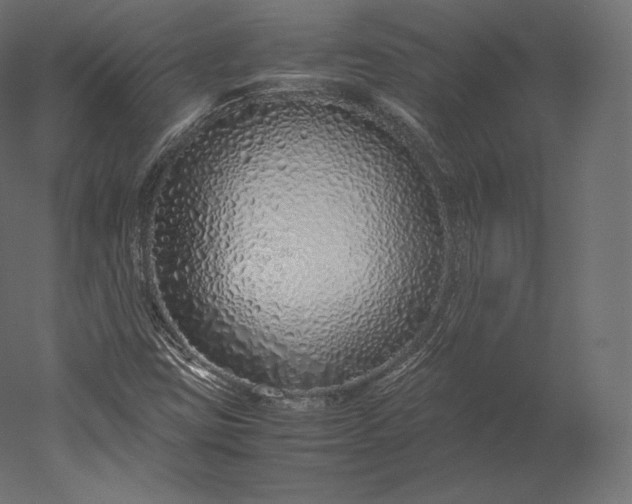 X0000051251403200507011640