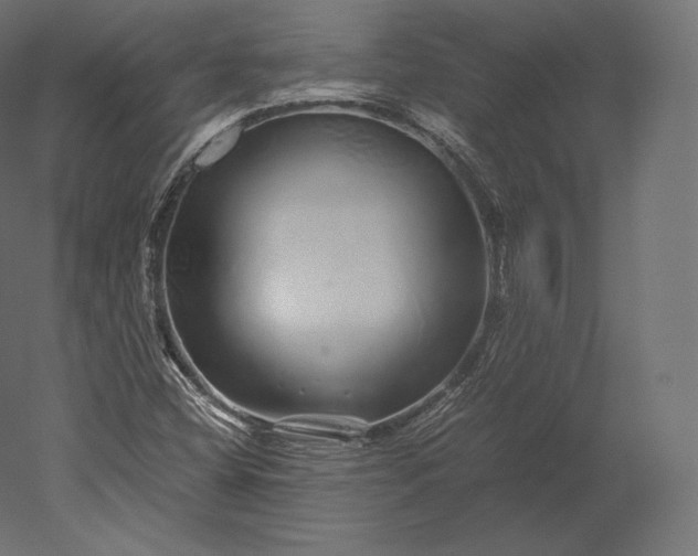 X0000051251404200507011640