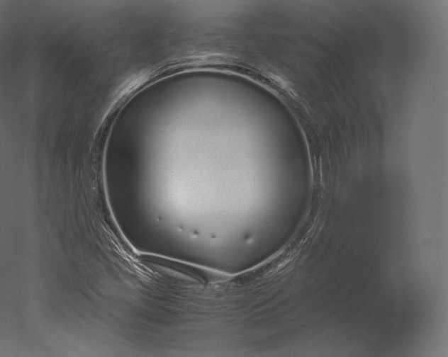 X0000051251405200507011640