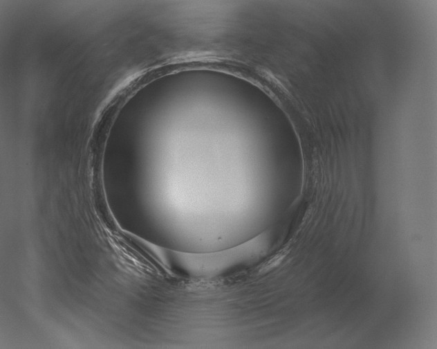 X0000051251406200507011640