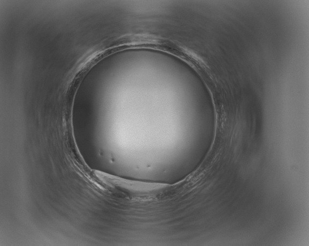 X0000051251407200507011640