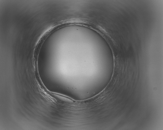 X0000051251408200507011640