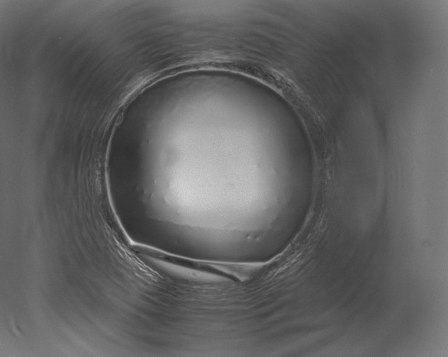 X0000051251409200507011640