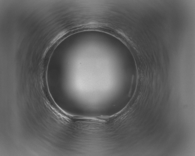 X0000051251410200507011640