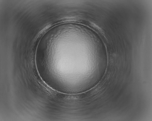 X0000051251411200507011640