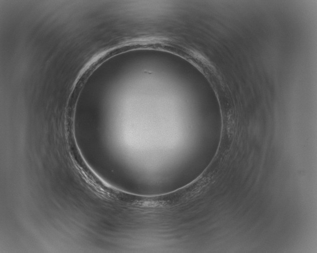 X0000051251412200507011640