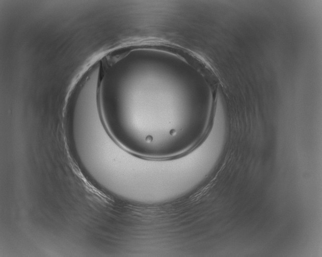 X0000051251414200507011640