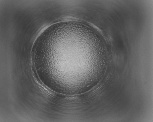 X0000051251415200507011640