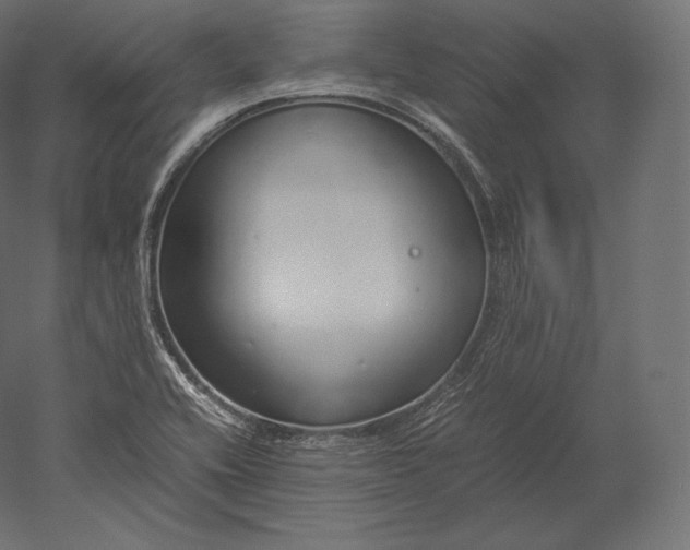 X0000051251416200507011640