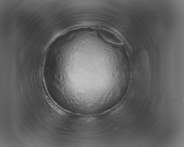 X0000051251417200507011640