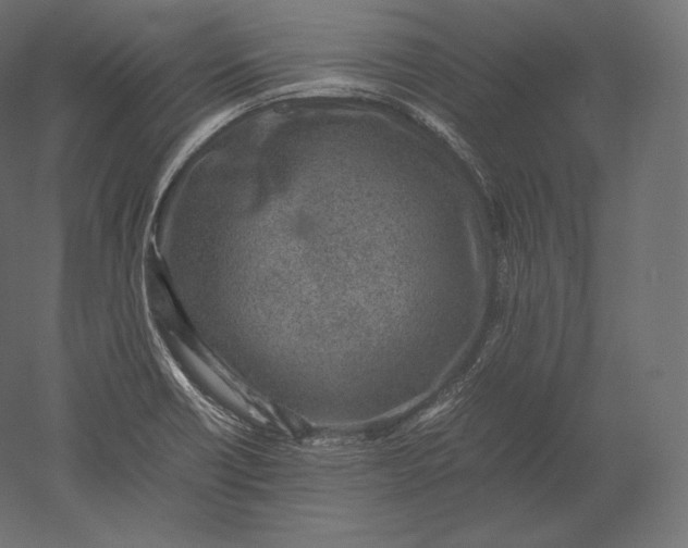 X0000051251418200507011640