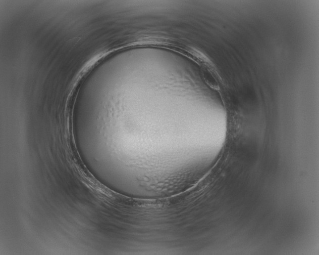 X0000051251419200507011640