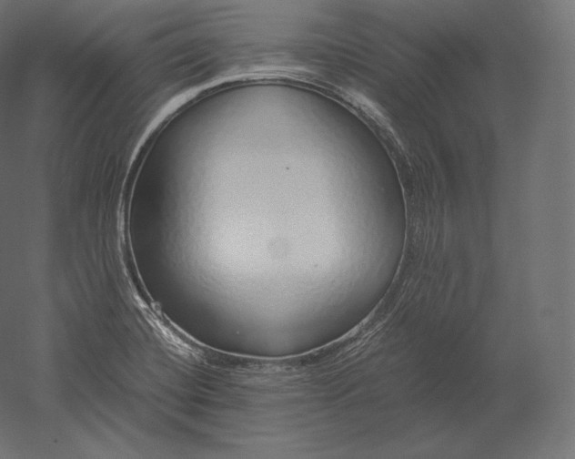 X0000051251420200507011640