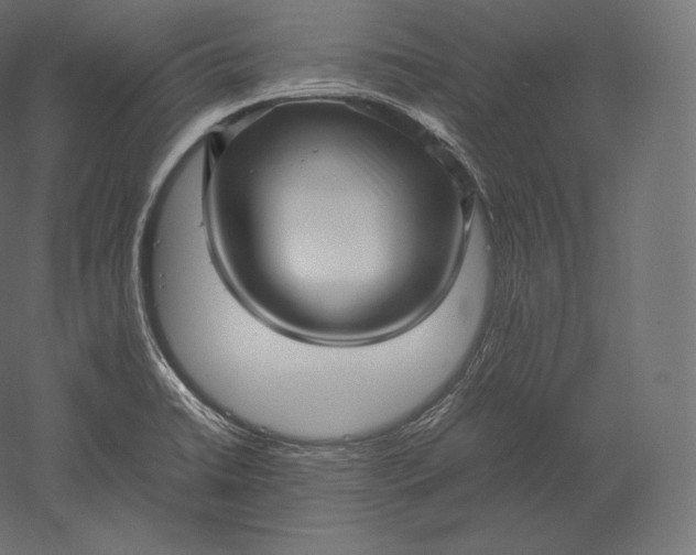 X0000051251422200507011640