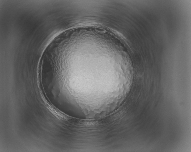 X0000051251423200507011640