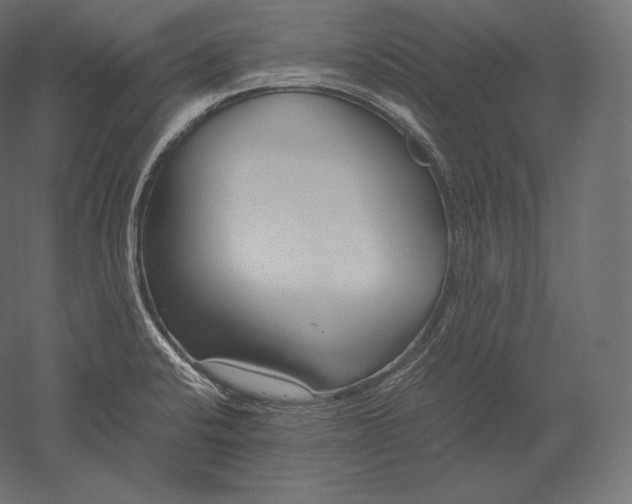 X0000051251424200507011640