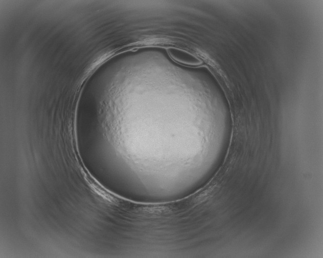 X0000051251425200507011640