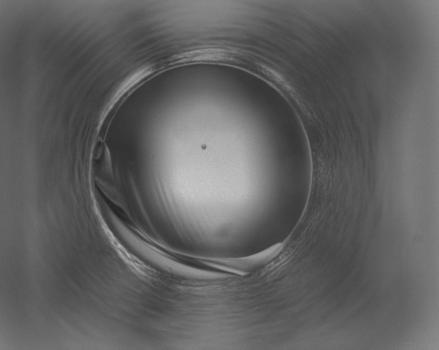 X0000051251426200507011640