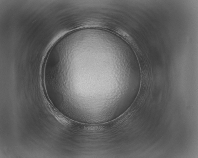 X0000051251427200507011640