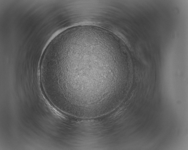 X0000051251428200507011640