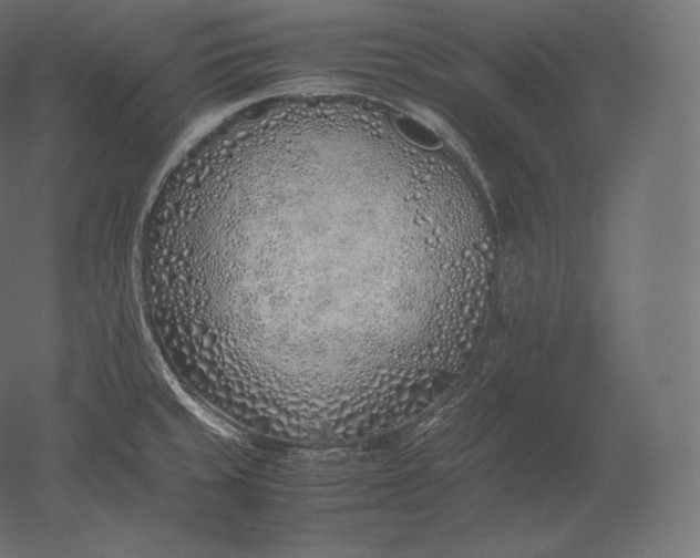 X0000051251429200507011640