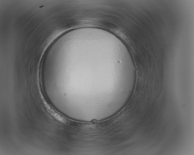 X0000051251431200507011640